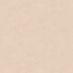 Caribbean, Hooked on Walls 27252