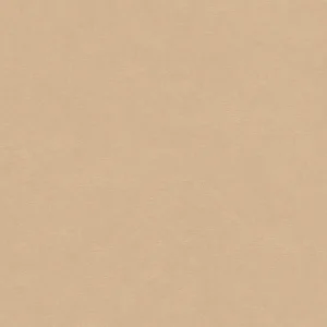 Caribbean, Hooked on Walls 27258