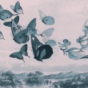 Fotobehang – Butterflies and Fairy