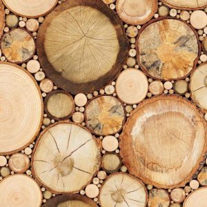 Fotobehang – Wood grains