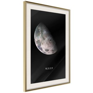 The Solar System: Moon